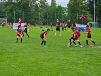 pfc 2025 u9 pfc 2025 u9