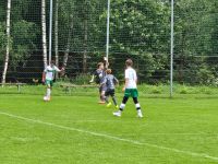 pfc 2025 u12 pfc 2025 u12