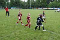 nw 2013 u6 u7 turnier nw 2013 u6 u7 turnier