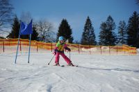 ortsschimeisterschaft 2017