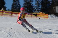 ortsschimeisterschaft 2017