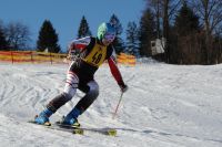 ortsschimeisterschaft 2017