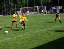 pfc 2007 u13