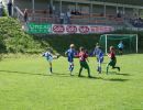 pfc 2008 u11