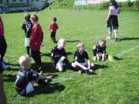 pfc 2008 u8