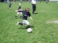 pfc 2008 u8