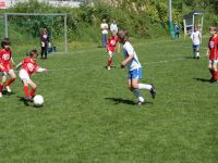 pfc 2008 u9 pfc 2008 u9