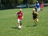 pfc 2008 u9 pfc 2008 u9