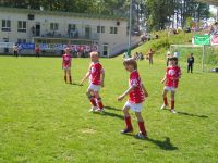 pfc 2008 u9 pfc 2008 u9