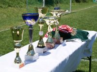 pfc 2008 u9 pfc 2008 u9