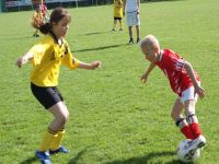 pfc 2008 u9 pfc 2008 u9