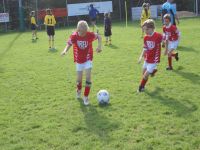pfc 2008 u9 pfc 2008 u9