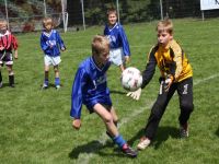 pfc 2009 u10