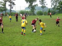 pfc 2010 u10 pfc 2010 u10