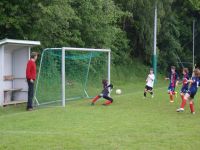 pfc 2010 u12 pfc 2010 u12