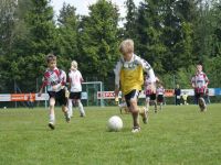 pfc 2010 u9