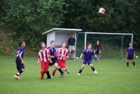 pfc 2011 pfc 2011