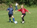 pfc 2012 u10