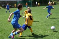 pfc 2012 u12