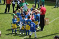 pfc 2012 u8