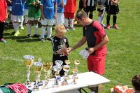 pfc 2012 u8