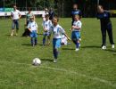 pfc 2012 u8