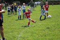 pfc 2012 u8