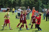 pfc 2012 u8