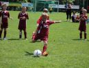 pfc 2012 u8