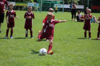 pfc 2012 u8