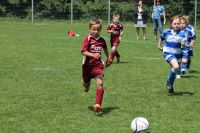 pfc 2012 u8