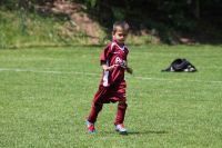 pfc 2012 u8