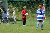 pfc 2012 u8