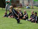 pfc 2012 u8