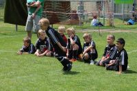 pfc 2012 u8