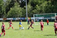 pfc 2012 u8