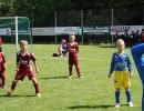 pfc 2012 u8