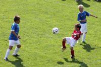pfc 2012 u8 pfc 2012 u8