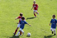 pfc 2012 u8 pfc 2012 u8