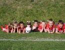pfc 2012 u8