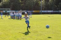 pfc 2012 u8 pfc 2012 u8