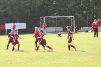 pfc 2013 pfc 2013