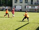 pfc 2013