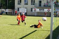 pfc 2013 pfc 2013