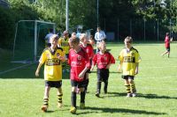 pfc 2013 pfc 2013