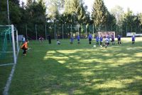 pfc 2013 pfc 2013