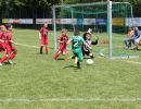 pfc 2013 finale