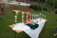 pfc 2013 u 9 pfc 2013 u 9
