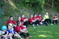 pfc 2014 u10 pfc 2014 u10