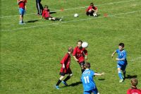 pfc 2014 u10 pfc 2014 u10